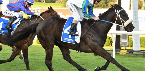 Manikato Stakes Likely Field – 2024