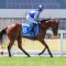 Matisse starts Thousand Guineas path at The Valley