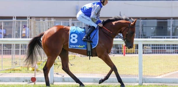 Matisse starts Thousand Guineas path at The Valley