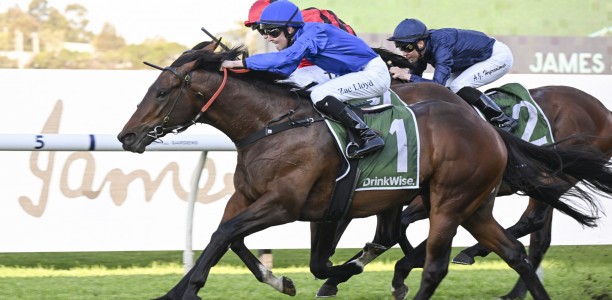 Godolphin’s alpha colts have stranglehold on Golden Rose