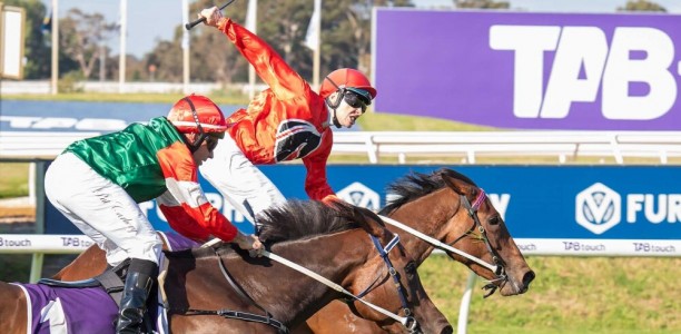 Parnham laces up for Black Heart Bart Stakes victory