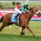 Weeks wait to pay dividends at Sandown