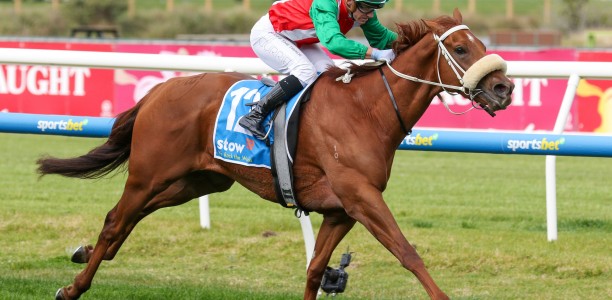 Weeks wait to pay dividends at Sandown