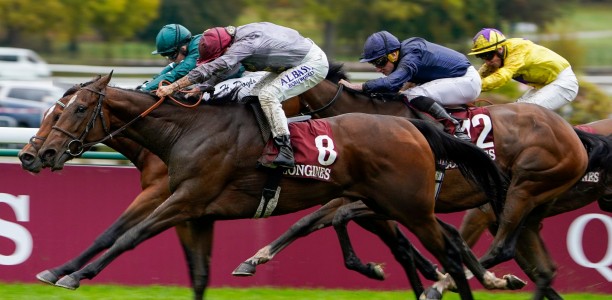 Tuesday gallop key for Place Du Carrousel