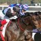 Call made on Mr Brightside’s Cox Plate lead-up