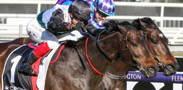 Call made on Mr Brightside’s Cox Plate lead-up