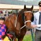 Casey’s gelding gives trial rivals windburn