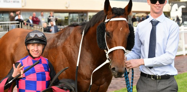 Casey’s gelding gives trial rivals windburn