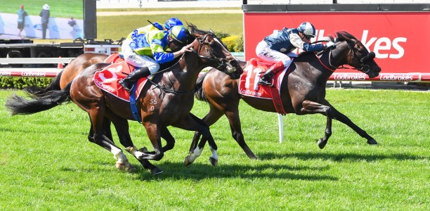 Exuberance lives up to her name at Cranbourne