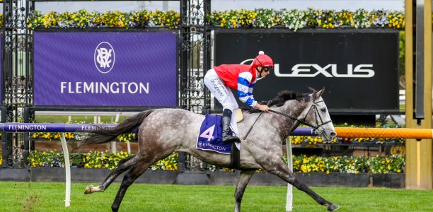 Maher trio shoot for Melbourne Cup 2024 start