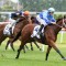 Eneeza set for Danehill Stakes kick-off