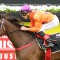 Japanese jockey booked to ride in Melbourne Cup