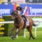 Airman claims Everest scalps in Premiere Stakes