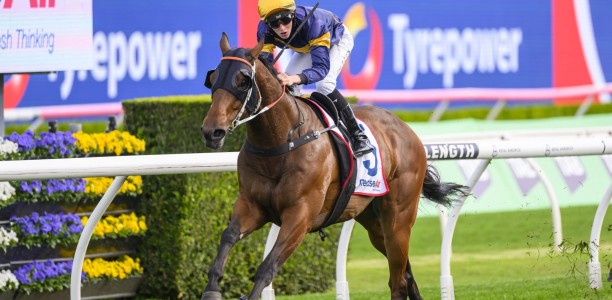 Airman claims Everest scalps in Premiere Stakes