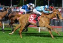 Toorak Handicap preferred goal for Alsephina