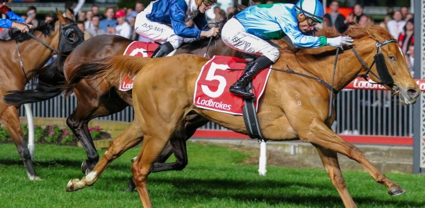 Toorak Handicap preferred goal for Alsephina