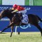 Waterhouse lands on Mayfair for Caulfield Guineas upset