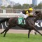 Nonconformist targeting Sydney riches