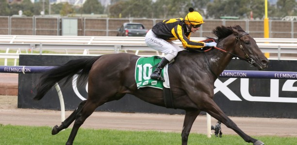 Nonconformist targeting Sydney riches