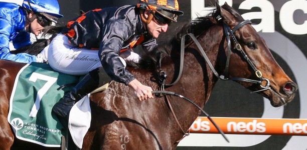 Star mare out of the Spring Racing Carnival