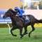 Pericles primed for Hill Stakes test