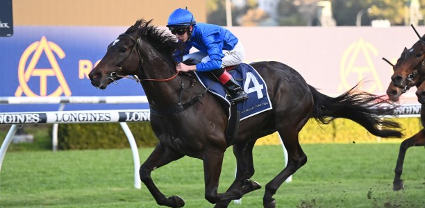 Pericles primed for Hill Stakes test