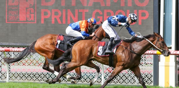 Vibrant Sun stays against the girls at Caulfield