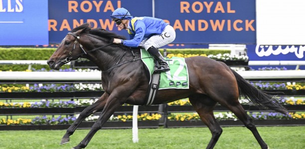 Royal Patronage ripe for Hill Stakes