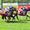 Successful combination team up at Caulfield