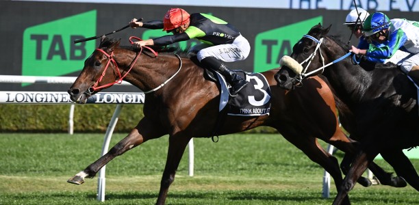 Think About It to overcome wide draw in Sydney Stakes