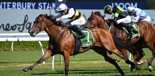 Lady Laguna set for Sydney Stakes