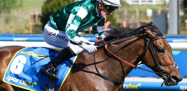 Leading Caulfield Cup 2024 horses to be retested