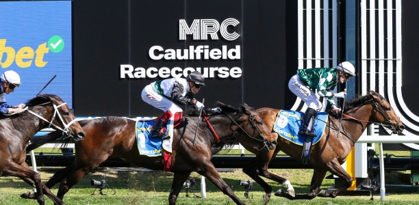 Leading contender in doubt for Caulfield Cup