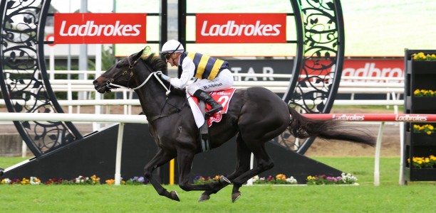 Warmonger won’t press onto Melbourne Cup