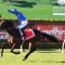 Broadsiding has eyes on the Cox Plate