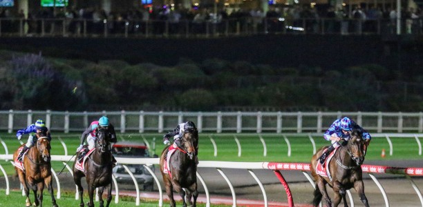 Cox Plate Likely Field – 2024