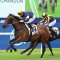 Swiftfalcon on song for G1 Spring Champion Stakes