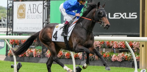 Exciting Godolphin stayer short odds in the Geelong Classic