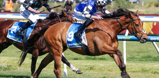 Ciaron Maher with two Geelong Cup hopes