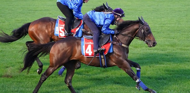 Broadsiding impresses in final gallop ahead of Cox Plate