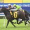 Star Melbourne sprinter heads odds in The Invitation at Ramdwick