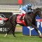 Onesmoothoperator penalised into Melbourne Cup field