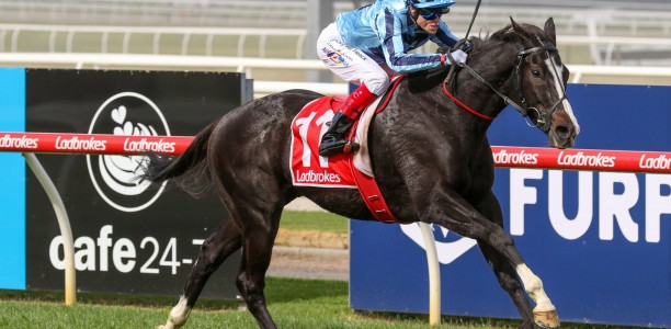 Onesmoothoperator penalised into Melbourne Cup field