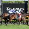 Mr Brightside takes strapper on Cox Plate ride