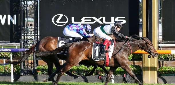 Mr Brightside takes strapper on Cox Plate ride