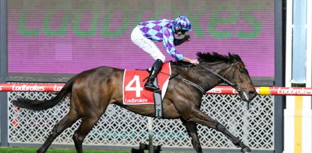 Prognosis remains Cox Plate favourite but the money is for Pride of Jenni