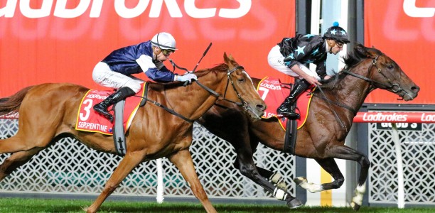 Okita Soushi Strikes Gold, into the Melbourne Cup