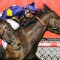 Cox Plate Carnival 2024: swiftbet punter lands unbelievable $27,456 racing multi