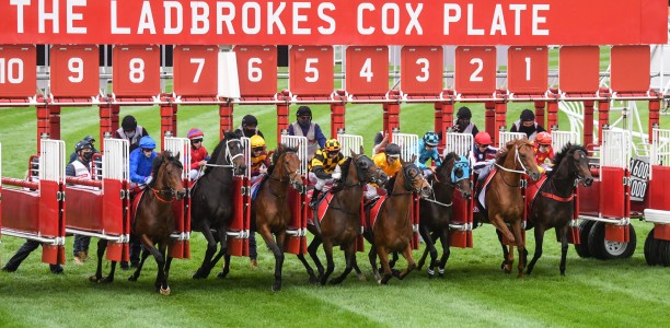 Cox Plate 2024 – Betting, Runner Preview, Tips, Field, Odds, Horses