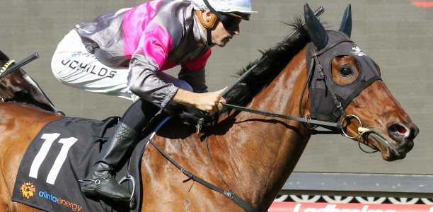 Symon Wilde’s mare packs Plenty Of Ammo